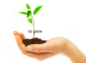 A hand holding a small plant and some soil against a white background